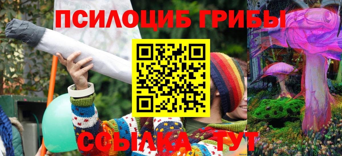 Псилоцибиновые грибы прущие грибы  Вход с VPN  Псилоцибиновые грибы MAGIC MUSHROOMS  Северобайкальск 